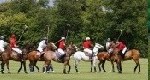 final polo image