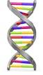dna dna